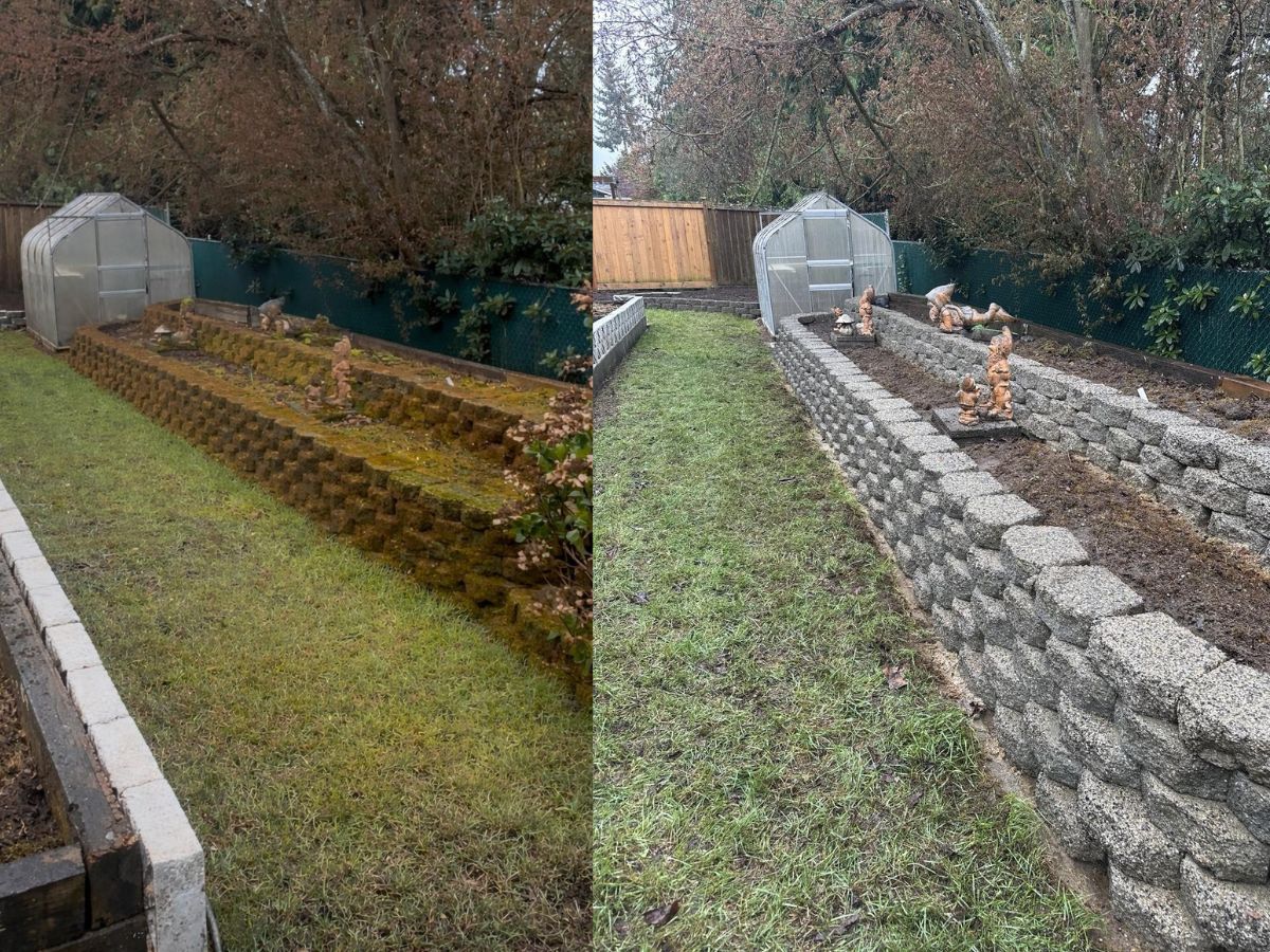 Block retaining wall before and after moss removal
