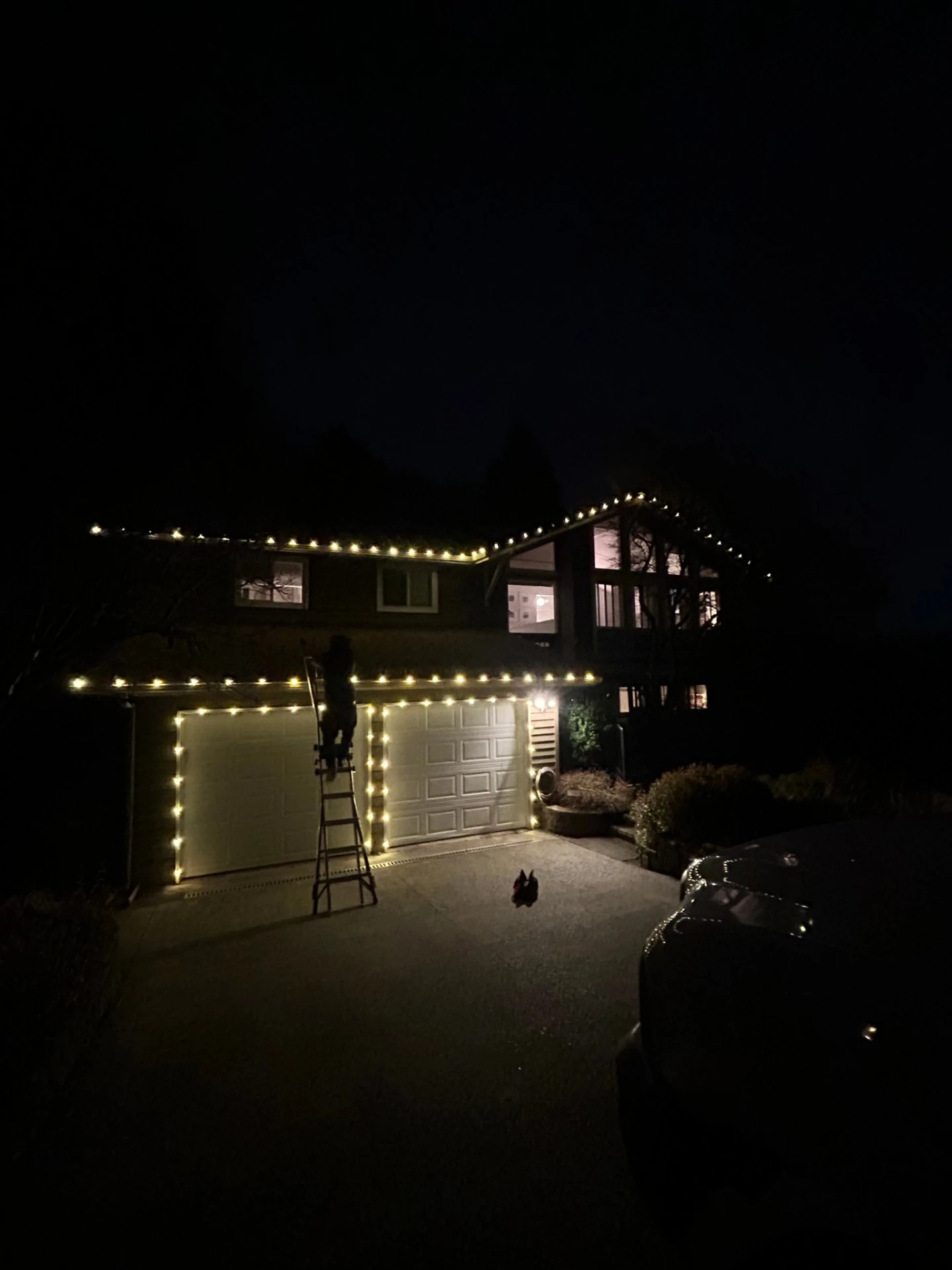 Western Washington home decorated with professional Christmas light installation